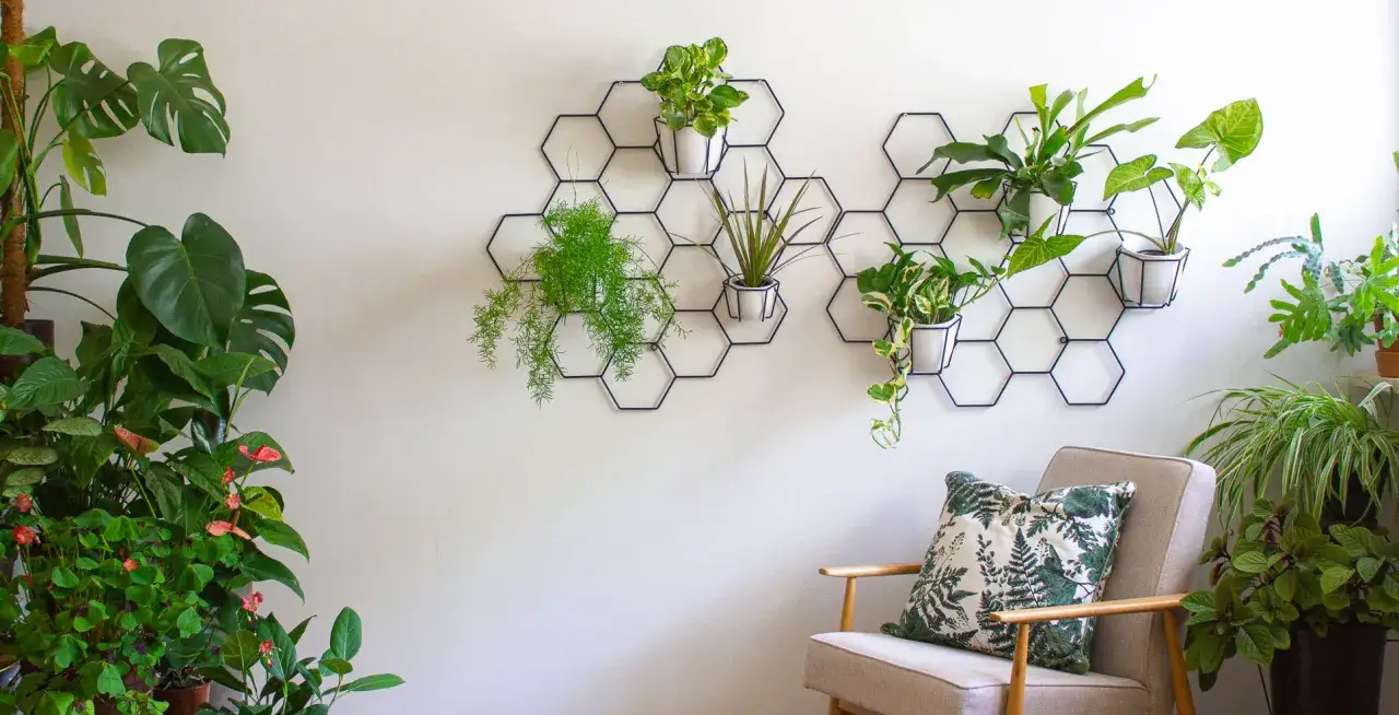 Wnętrze z wiszącymi doniczkami w kształcie plastra miodu i roślinami doniczkowymi.