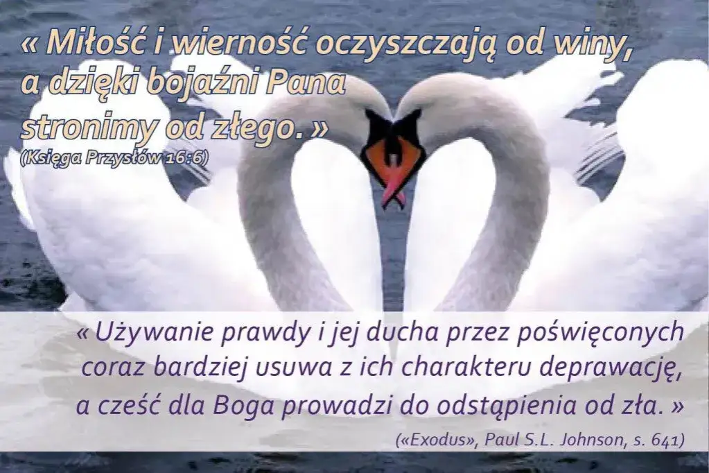 Mądrość przypowieści Salomona: jak zastosować ich nauki w codziennym życiu