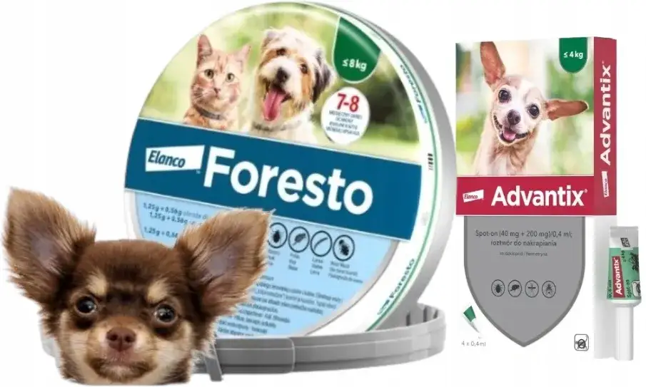 Ile kosztuje obroża dla psa Foresto? Ceny i porównania w sklepach