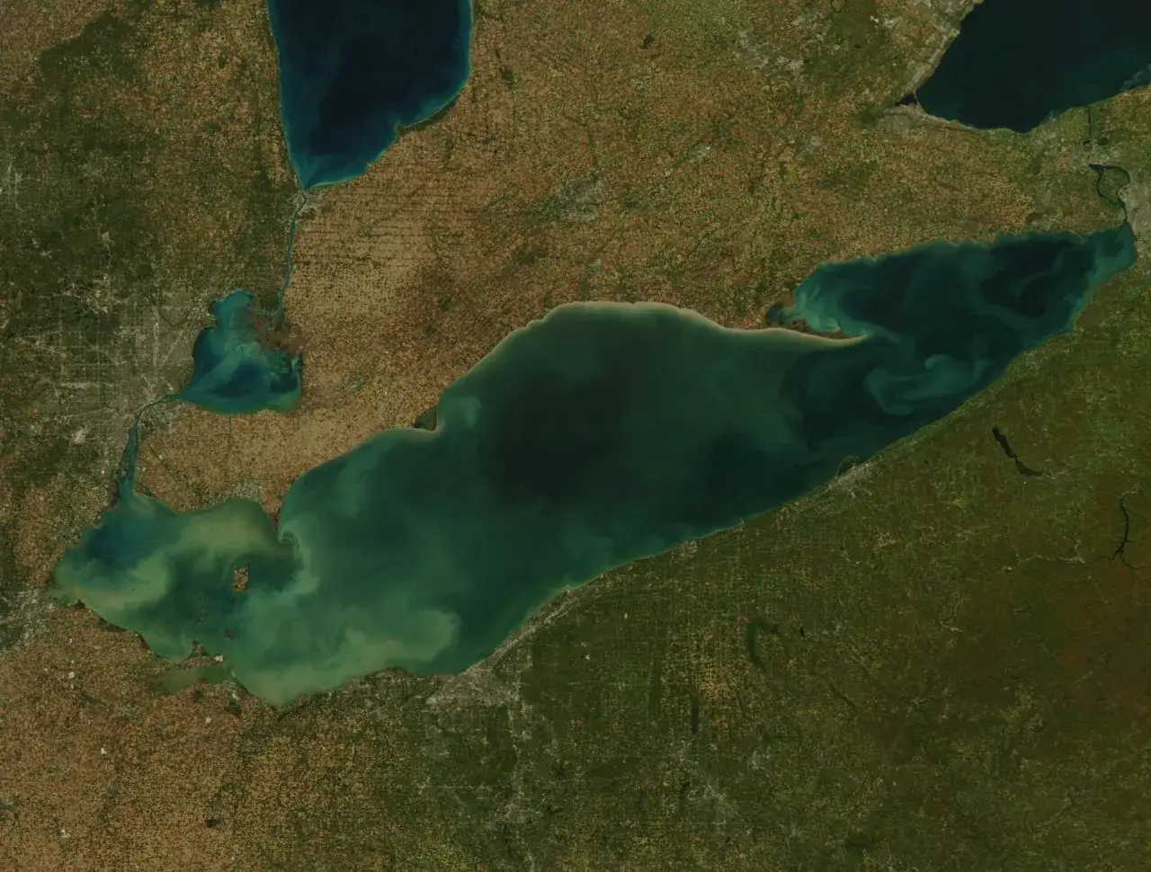 Widok satelitarny Jeziora Erie z otaczającymi je terenami rolniczymi i miejskimi.