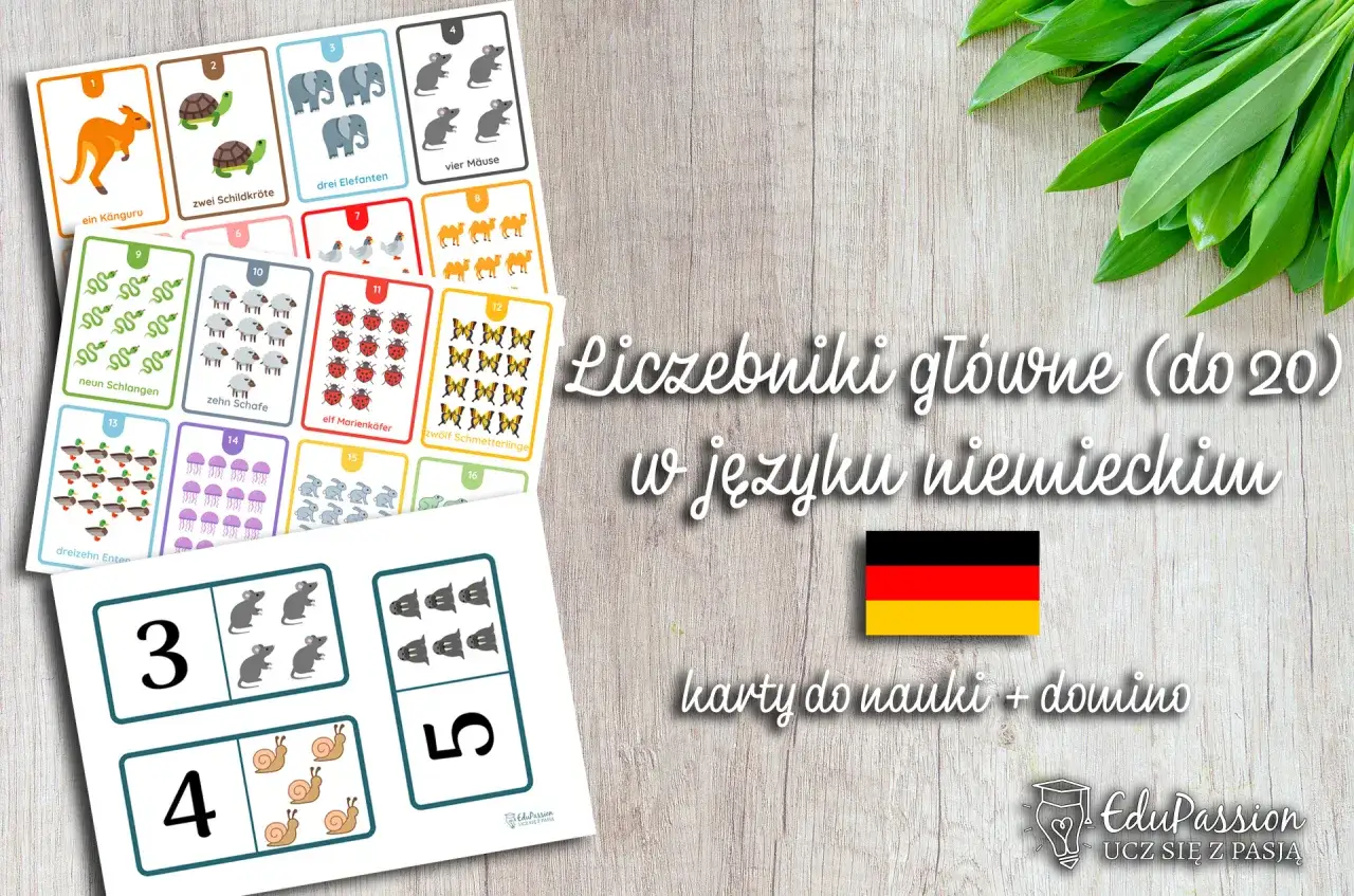 Liczebniki niemieckie bez tajemnic: opanuj zasady i wyjątki!