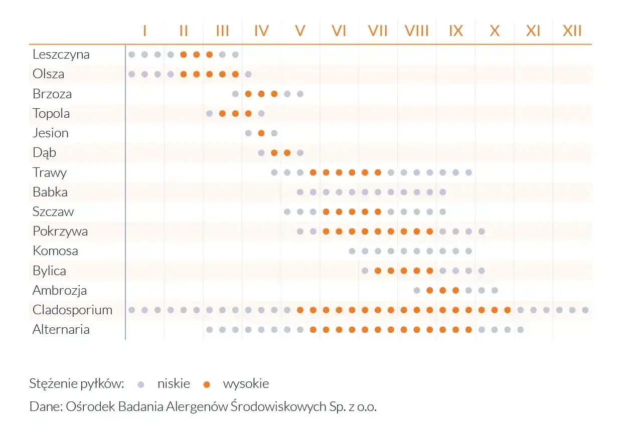 Kalendarz pylenia roślin: leszczyna, olsza, brzoza, topola, jesion, dąb, trawy, babka, szczaw, pokrzywa, komosa, bylica, ambrozja, Cladosporium, Alternaria. Sprawdź, co teraz pyli.
