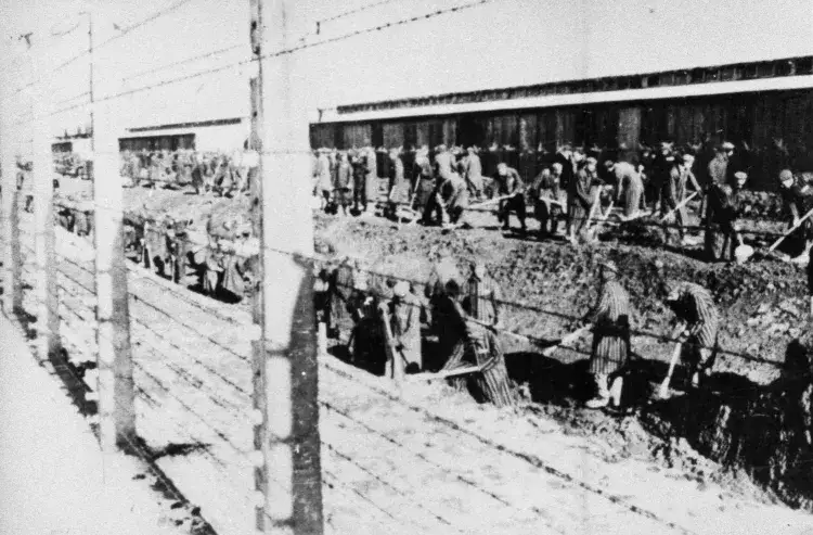 Co oznacza Auschwitz-Birkenau? Prawda o obozie i jego historii