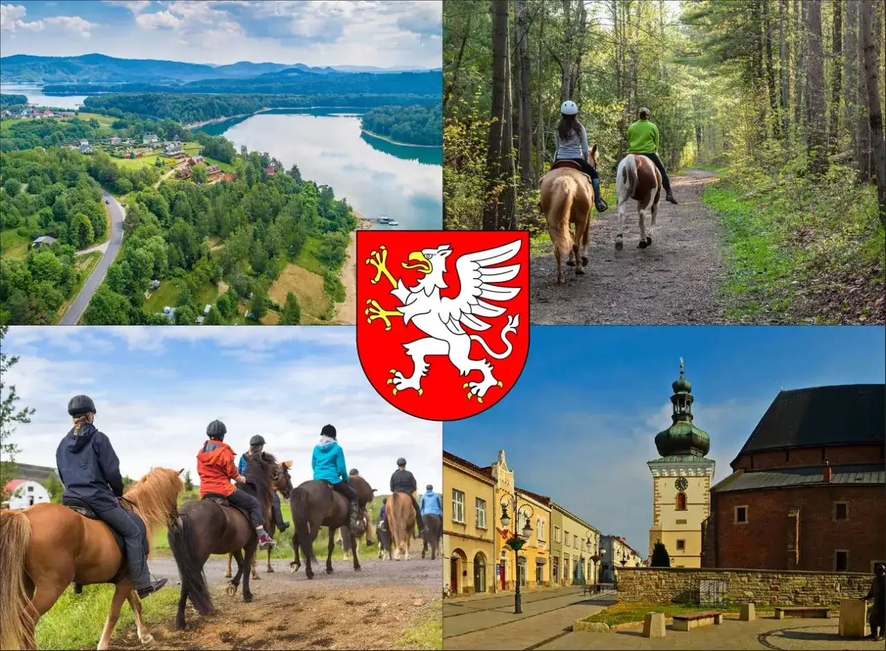 Jazda konna Dębica: Gdzie, ile, dla kogo? Pełny przewodnik