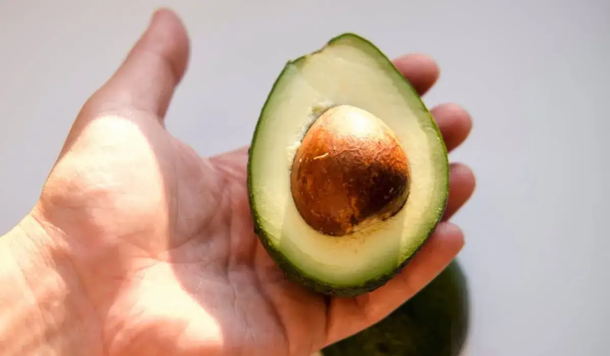 Twoje awokado z pestki zakwitnie? Warunki i sekrety sukcesu