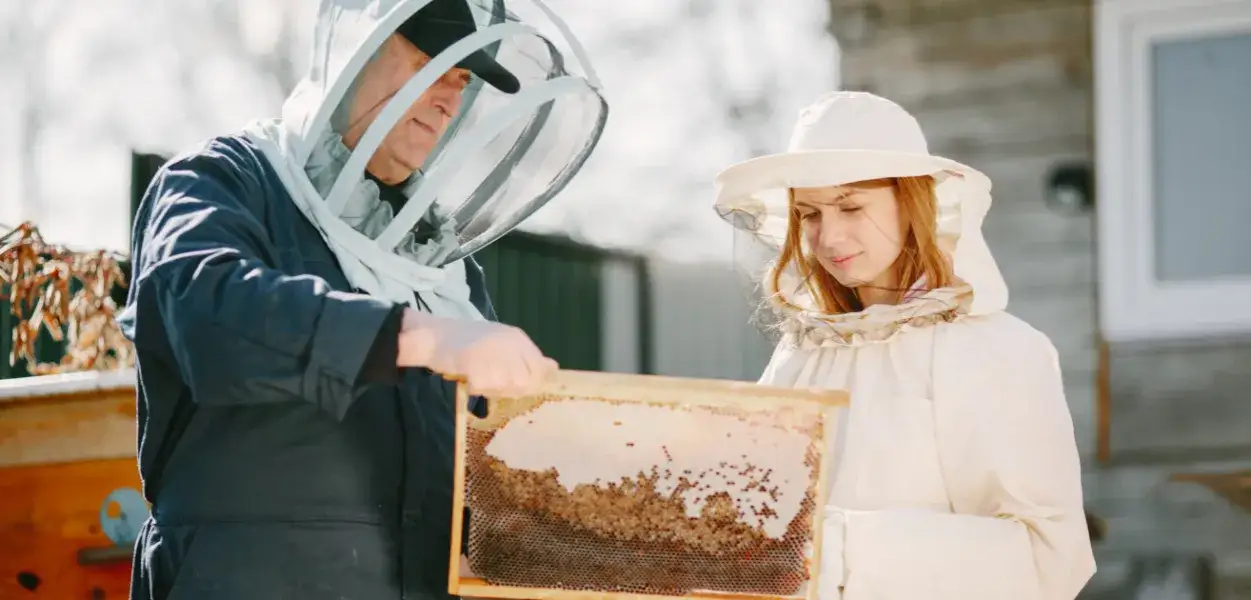 Ile można zarobić na pasiece? Sprawdź, co wpływa na zyski