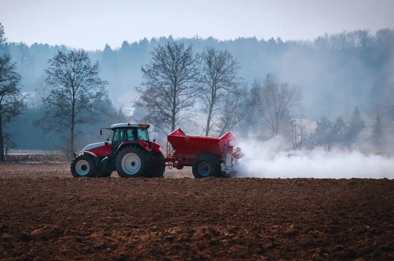 Czerwony traktor z przyczepą rozsypuje nawóz na polu. To przygotowanie gleby, by warzywa lubiące wapnowanie, jak pomidory czy kapusta, dobrze rosły.