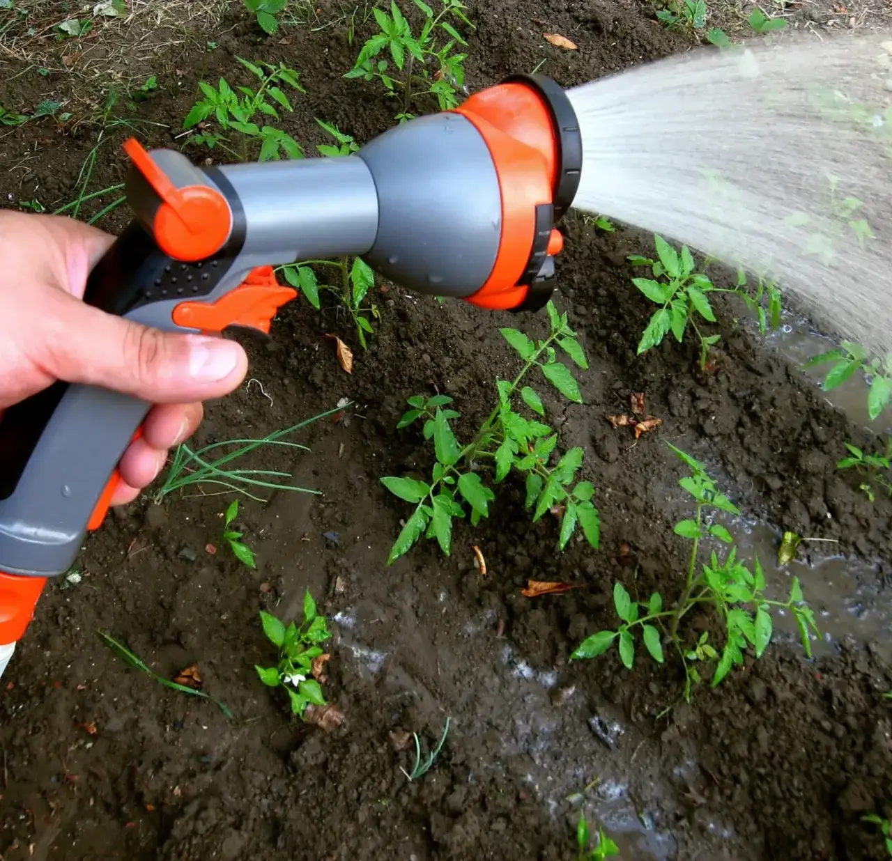 Pompa do ogrodu ze zbiornika: Jaki wybrać? Praktyczny poradnik