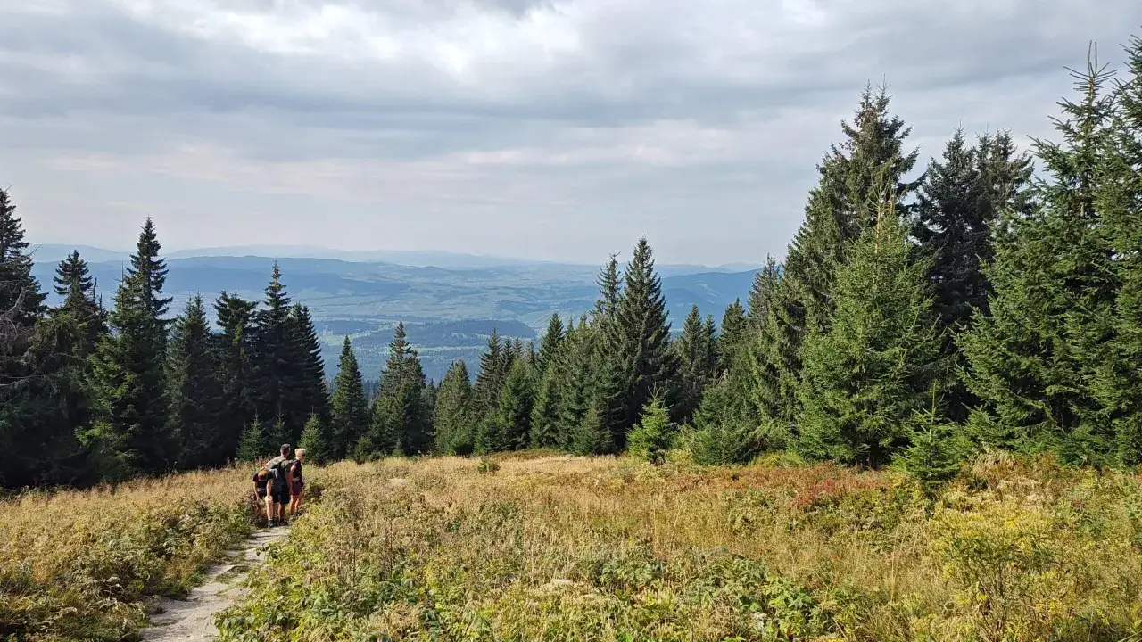 Babia Góra z psem? Zakaz w Polsce, ale jest rozwiązanie!