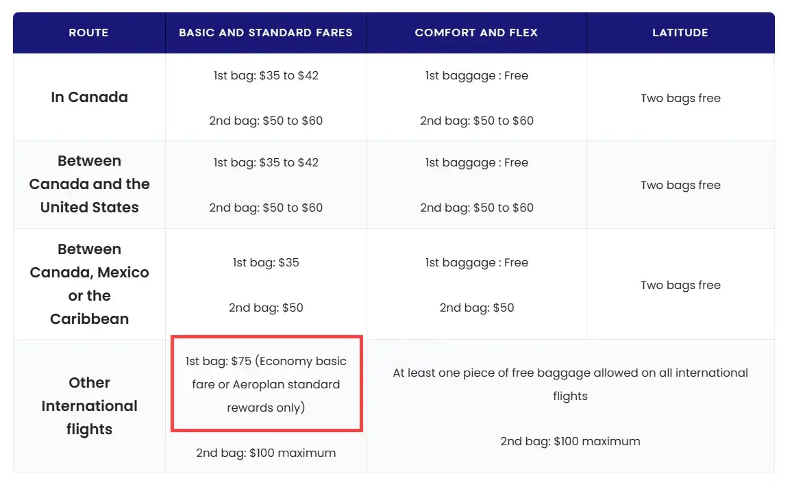 Ile kosztuje bagaż rejestrowany do USA? Zaskakujące opłaty i porady