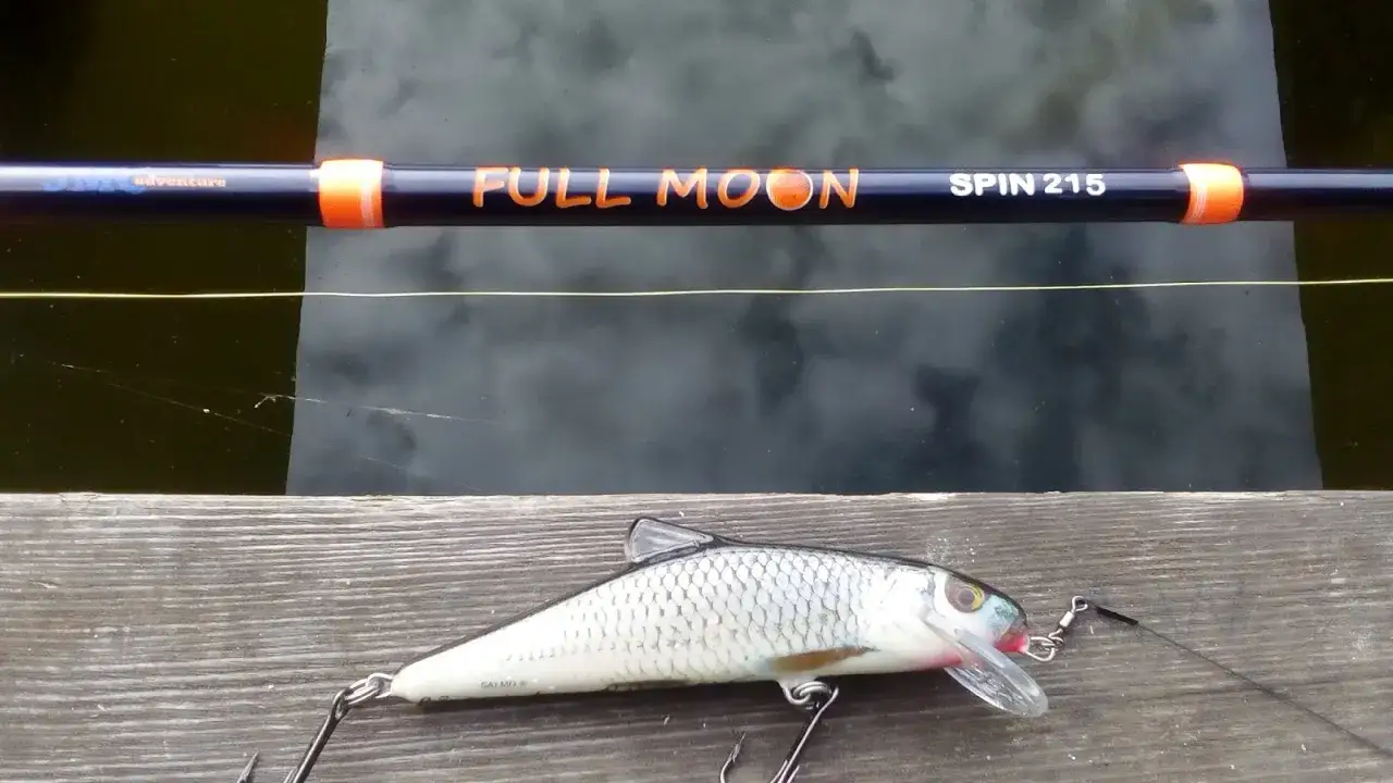 Gotowy spinning na szczupaka z brzegu: wędka "Full Moon Spin 215" i realistyczna przynęta.