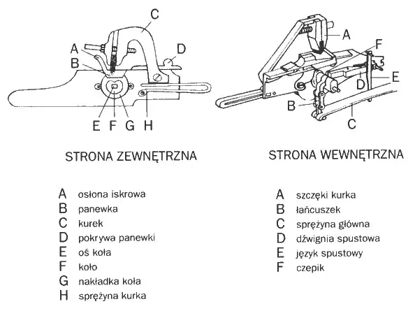 Krzyżówka: Dzielnica Poznania i rodzaj broni strzeleckiej