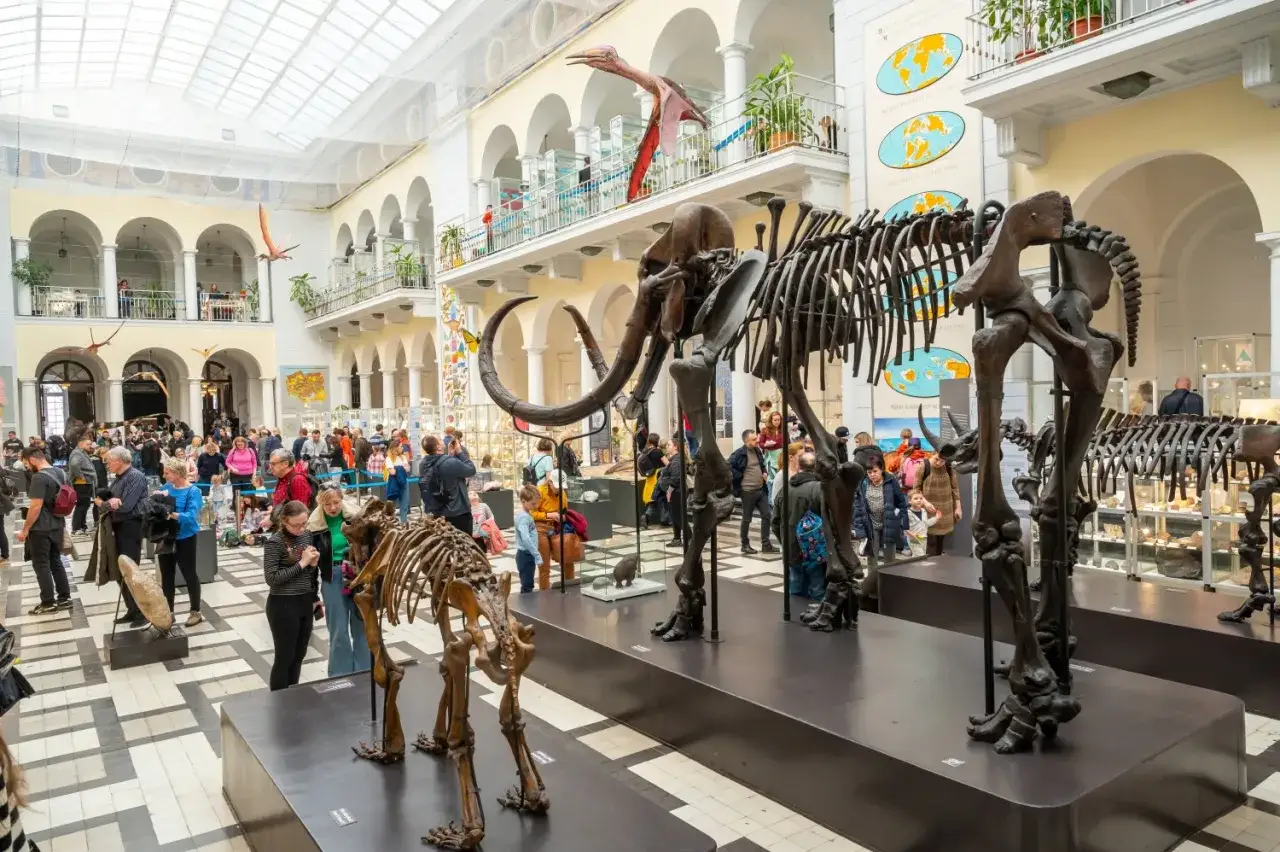 Muzeum Przyrodnicze w Warszawie to świetne miejsce, by dowiedzieć się, co zwiedzić w Warszawie z dziećmi. Szkielety mamutów i dinozaurów robią wrażenie!