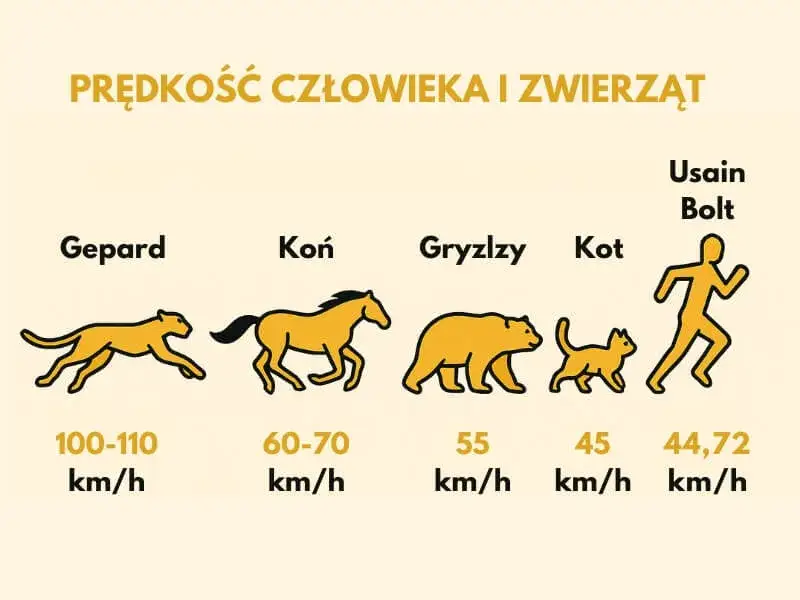 Jak szybko biega człowiek? Zaskakujące fakty o prędkości biegu