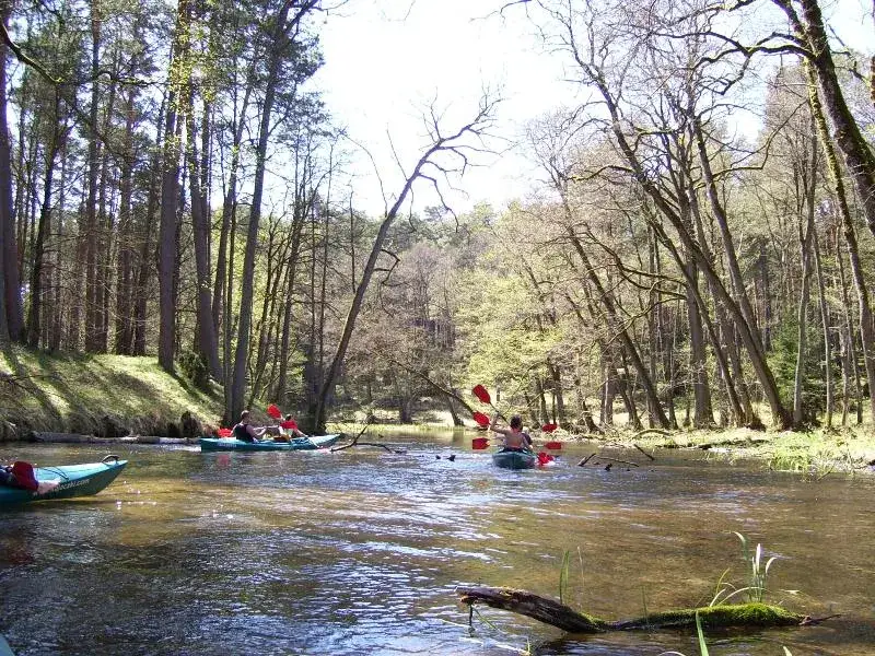 Spływy kajakowe Rurzyca - odkryj malownicze trasy i atrakcje