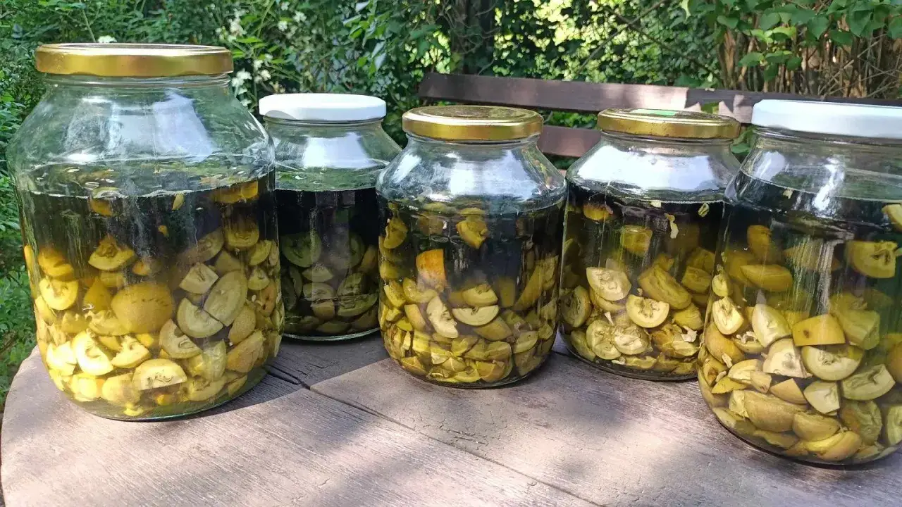 Orzechówka: naturalny lek na trawienie? Przepis i zastosowanie