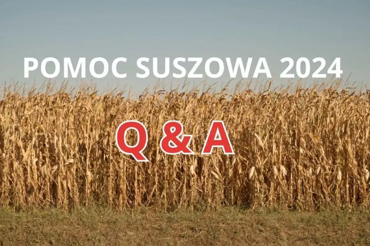 Jak poprawnie wypełnić aplikację suszową i uniknąć błędów – praktyczny poradnik