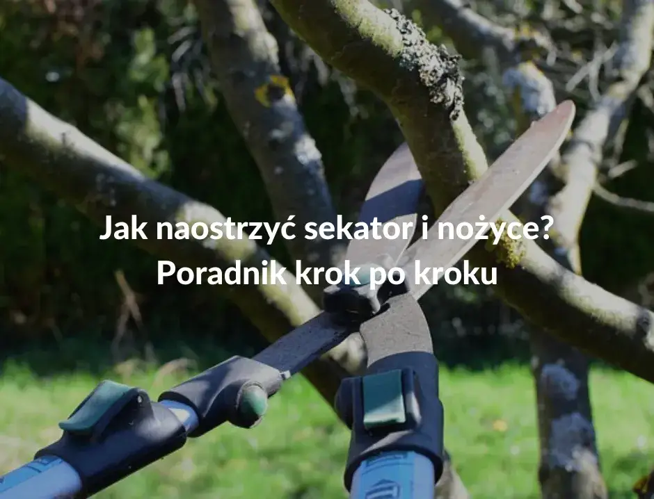 Jak naostrzyć łopatę? Prosty poradnik krok po kroku