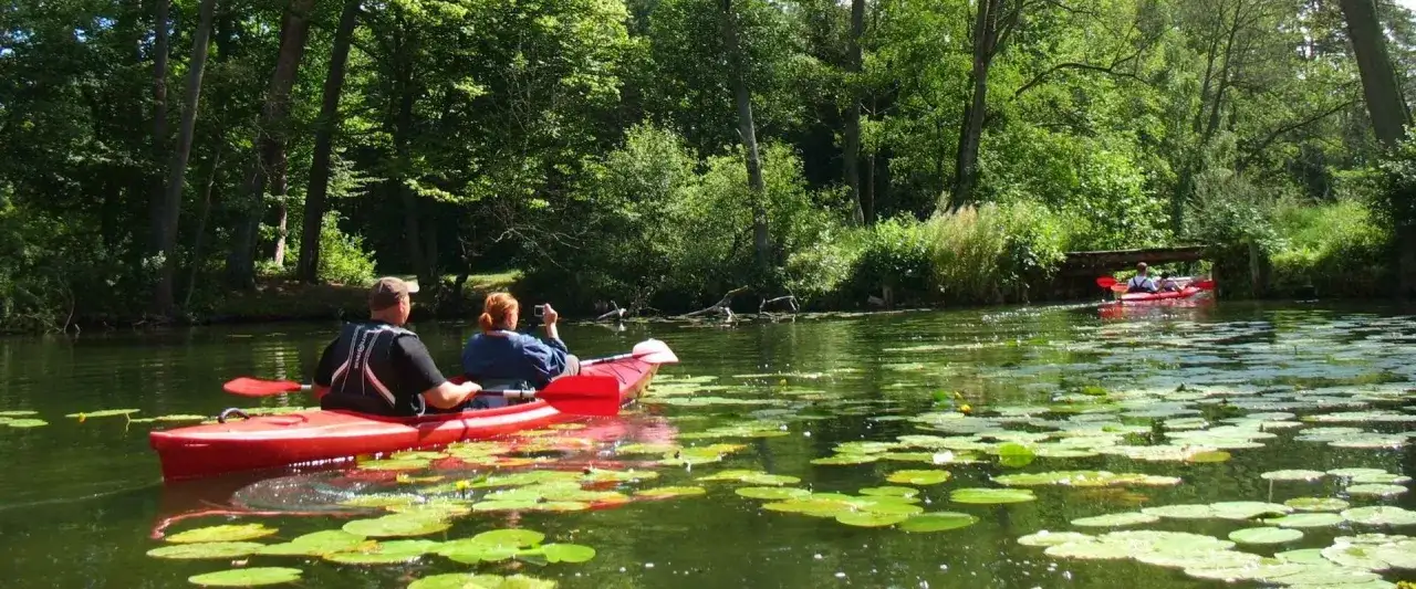 Najlepsze spływy kajakowe na Drwęcy - piękne trasy i atrakcje