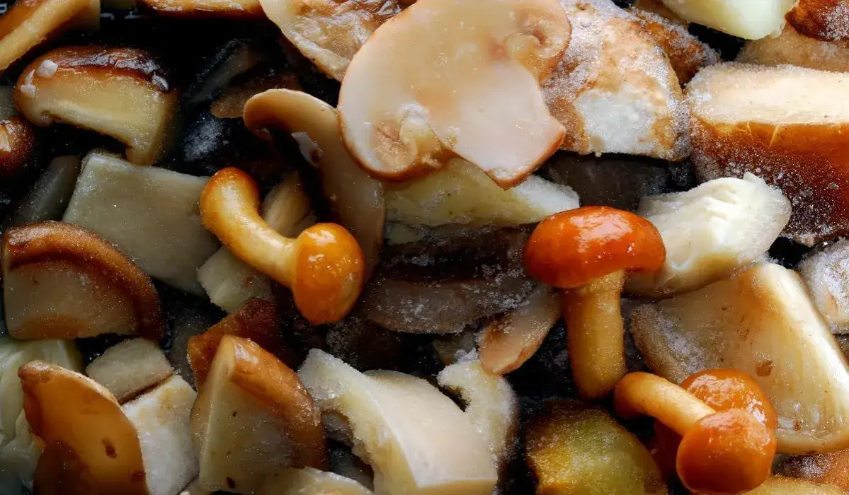 Jak obgotować grzyby do mrożenia, aby zachować ich smak i świeżość