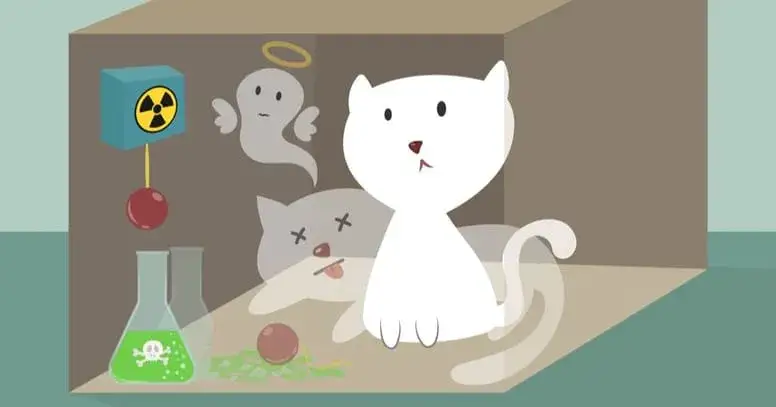 Kot Schrödingera: Czy kot jest żywy i martwy? Wyjaśniamy!