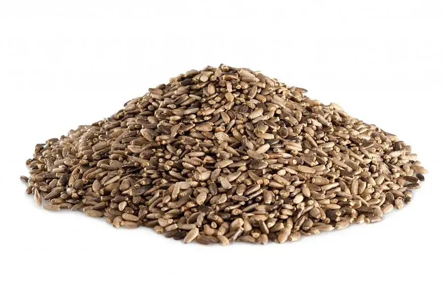 Jak zażywać ostropest plamisty, aby wspierać zdrowie wątroby