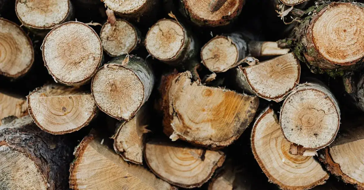 Który rodzaj biomasy przyniesie Ci największe oszczędności w 2025?