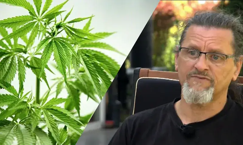 Lekarz który leczy olejem konopnym - jak terapia zmienia życie pacjentów