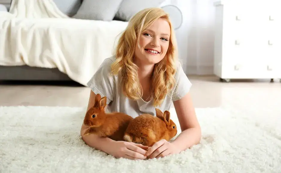 Jak wytresować królika: skuteczne metody na zbudowanie więzi