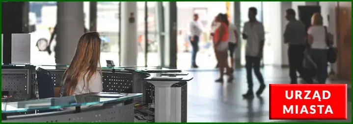 Ile kosztuje rejestracja przyczepy kempingowej? Oto niespodzianka!