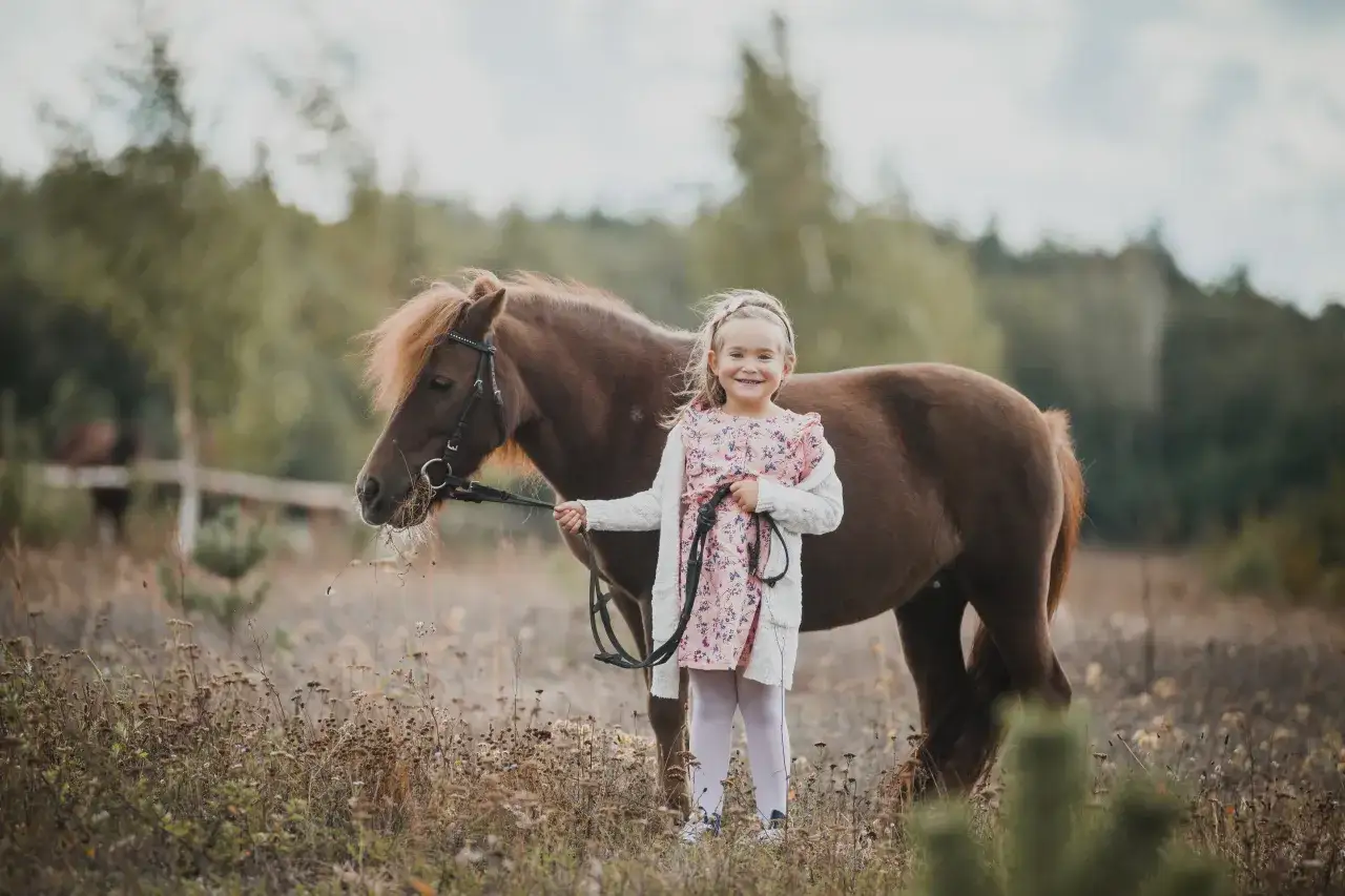 Klub jeździecki Stobno - najlepsze lekcje jazdy konnej i stajnia