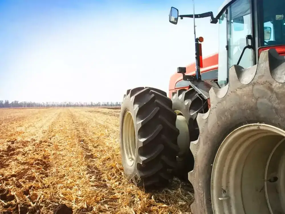 Co daje regularne wapnowanie gleby i dlaczego jednorazowy zabieg to za mało?