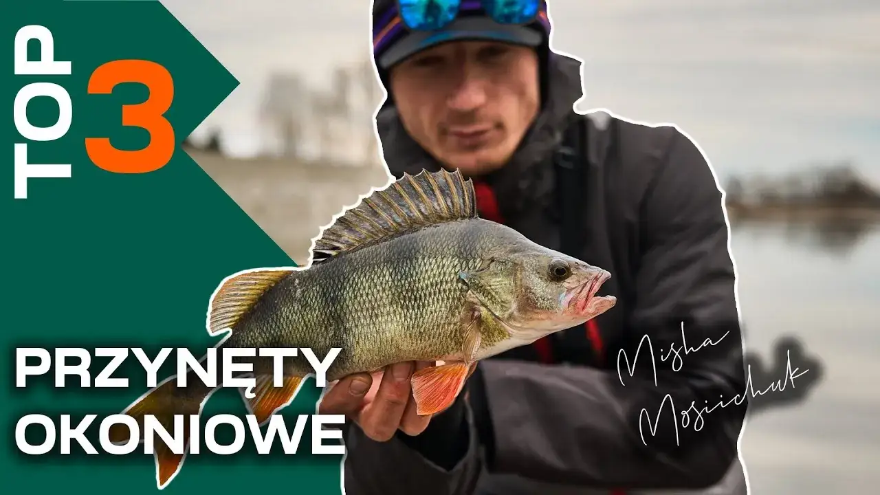 Najlepsze małe przynęty na okonia, które zwiększą Twoje szanse na sukces