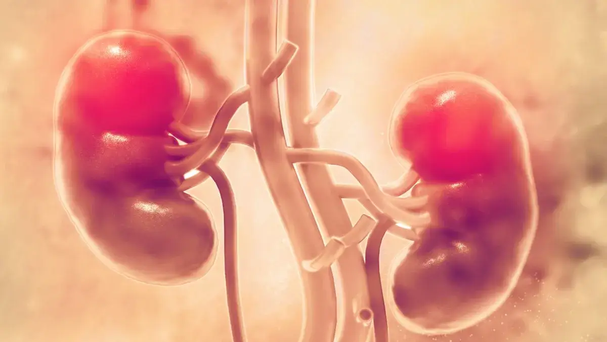 Jaki lekarz zajmuje się nerkami i kiedy warto go odwiedzić?