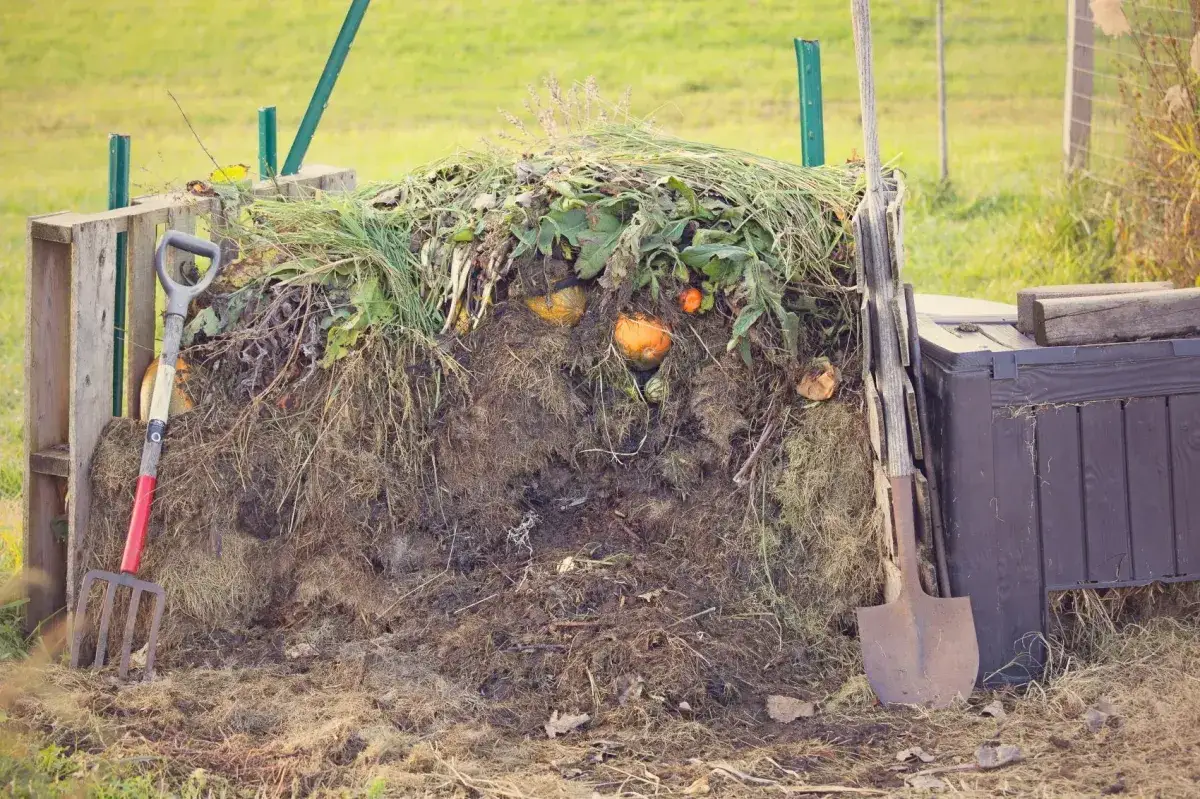 Jak prawidłowo wygląda kompost i po czym poznać jego dojrzałość