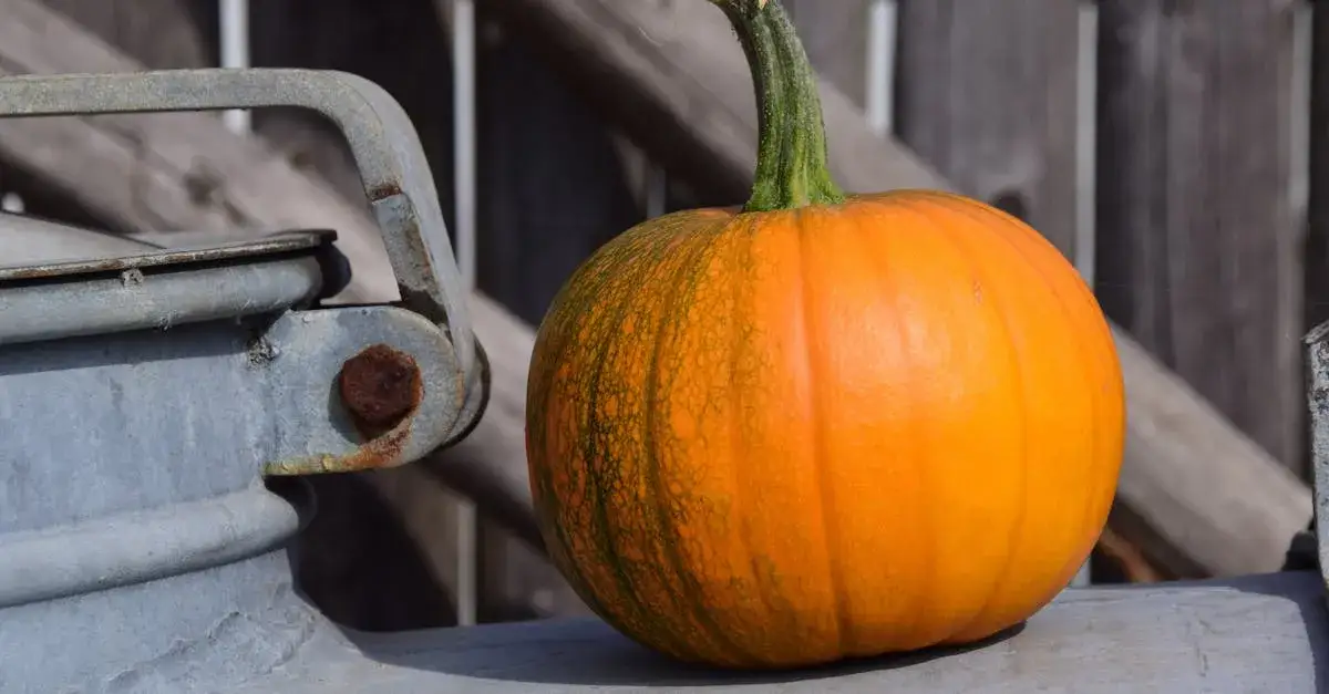 Dlaczego farma dyniowa to idealne miejsce na rodzinną wycieczkę?