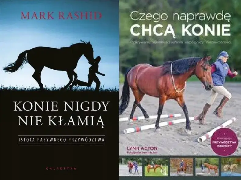 Czego naprawdę chcą konie? Odkryj ich potrzeby emocjonalne i zaufanie