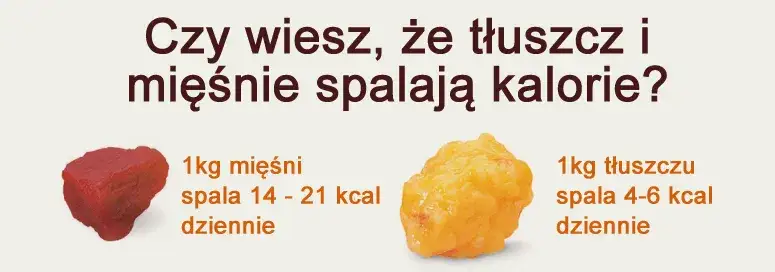 Ile białka jeść na redukcji, by nie stracić mięśni i skutecznie chudnąć?