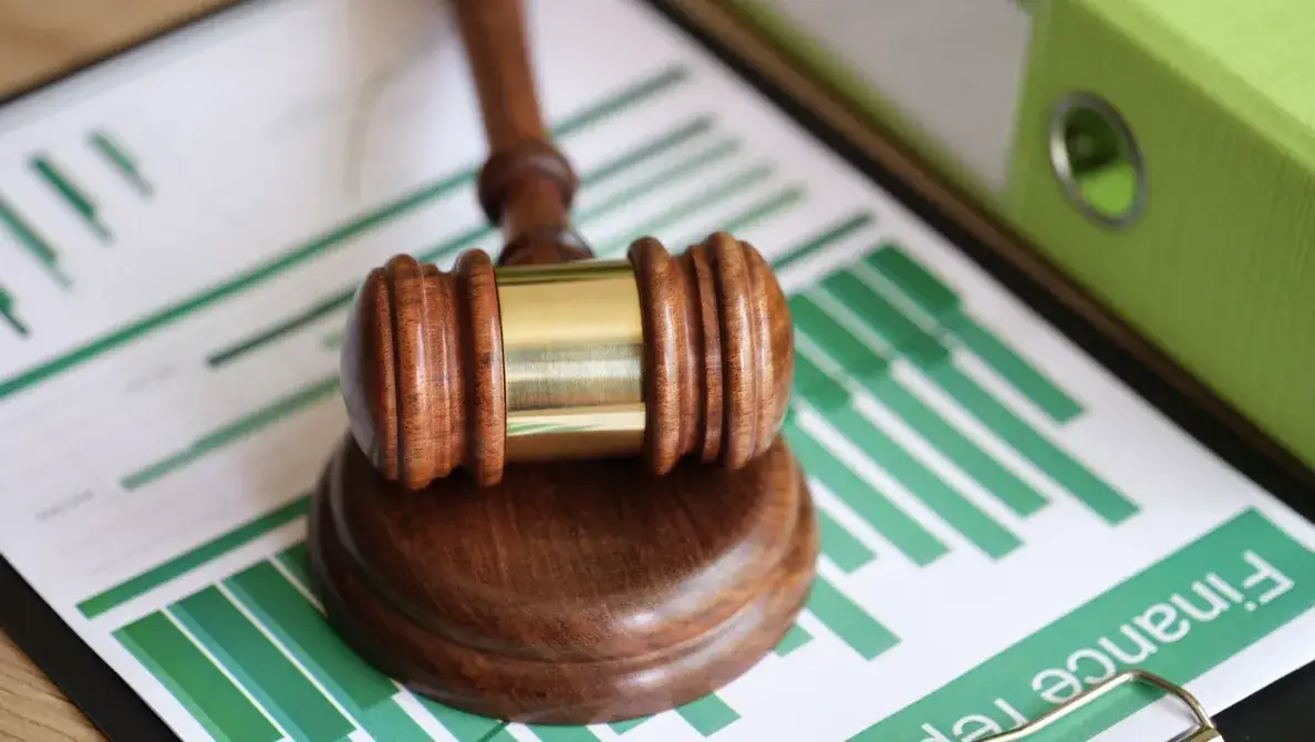 Poradnik dla początkującego inwestora - Działki z licytacji komorniczych