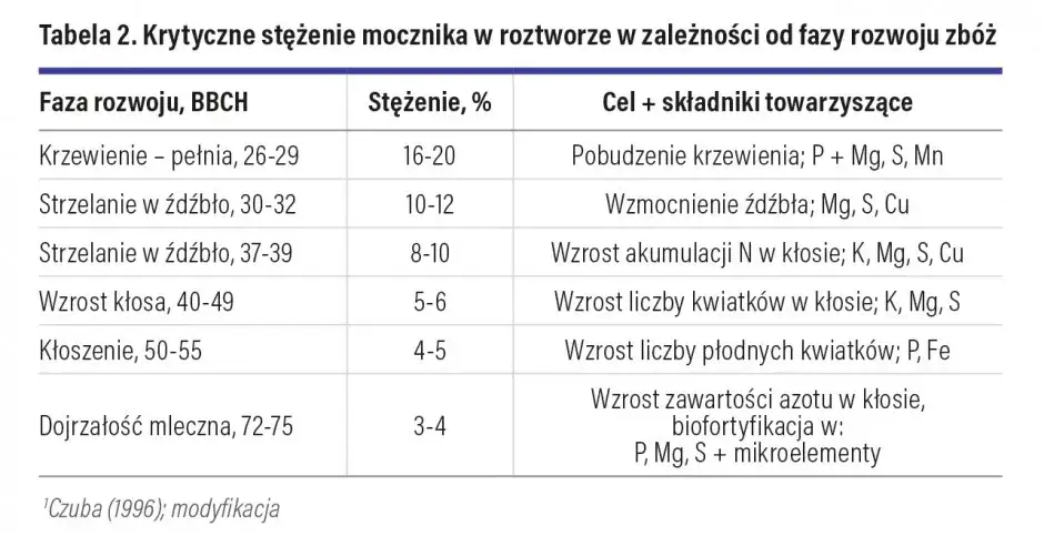 Optymalne dokarmianie pszenżyta mocznikiem - częstotliwość i dawki
