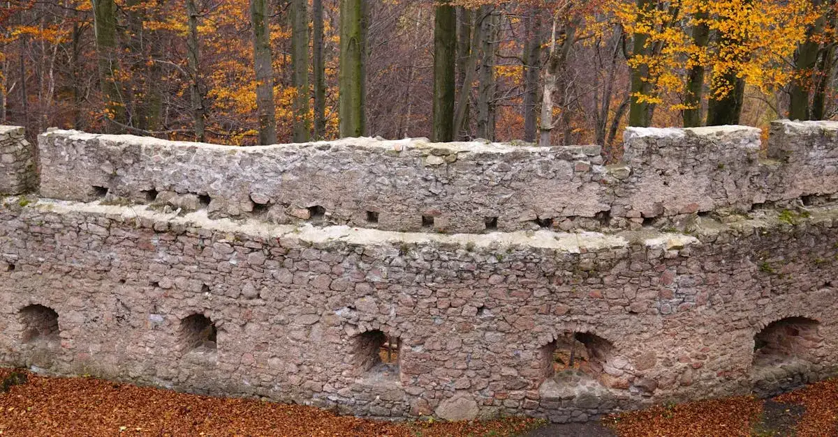 Jakie 10 zabytków UNESCO w Polsce musisz zobaczyć choć raz?