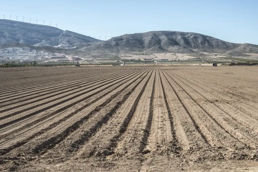 Ile kosztuje zmiana klasyfikacji gruntu? Sprawdź ukryte koszty!