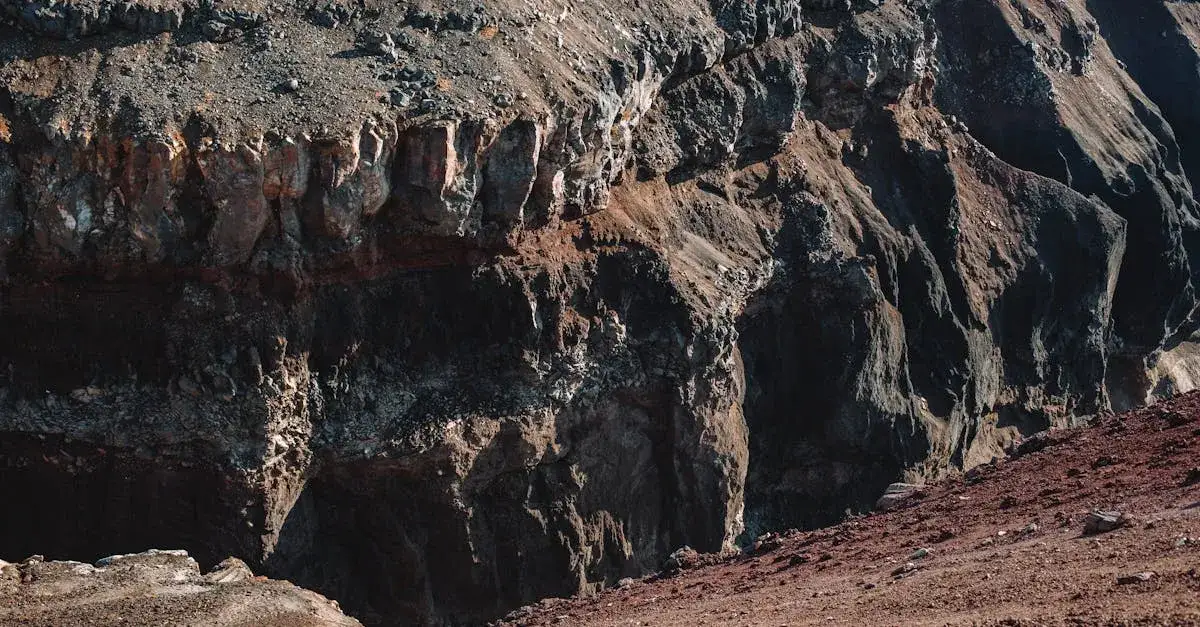 Filmy przyrodnicze: Jak kształtują świadomość ekologiczną?