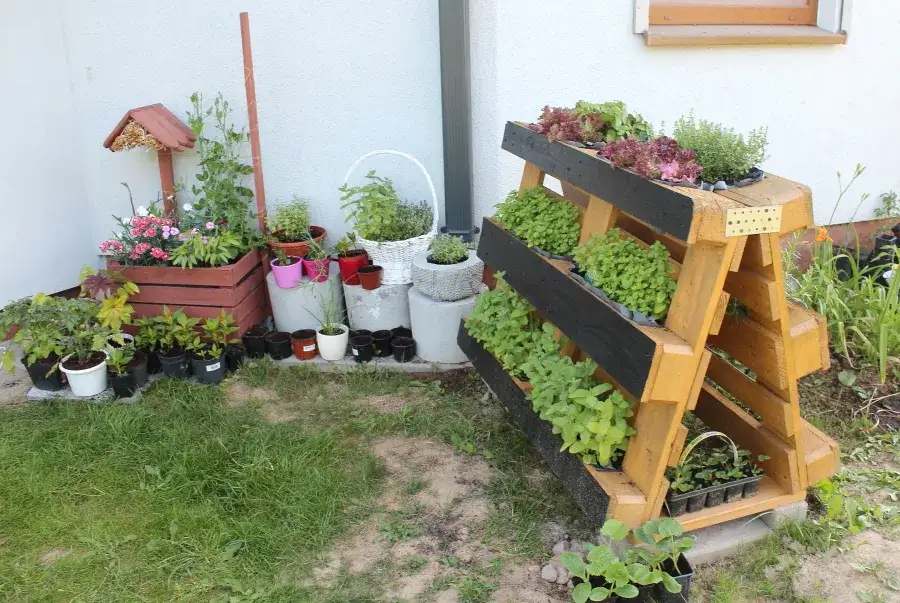 Jak zrobić kwietnik na działce – prosty sposób na piękny ogród bez błędów