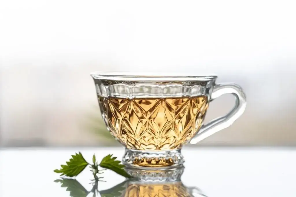 Czy pokrzywa odchudza? Oto jej niezwykłe właściwości wspomagające odchudzanie