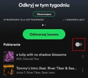 Ile internetu pobiera Spotify i jak uniknąć nadmiernego zużycia?