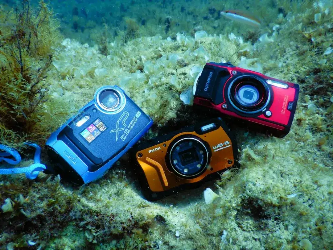 Jak wybrać aparat do zdjęć podwodnych: porównanie najlepszych modeli