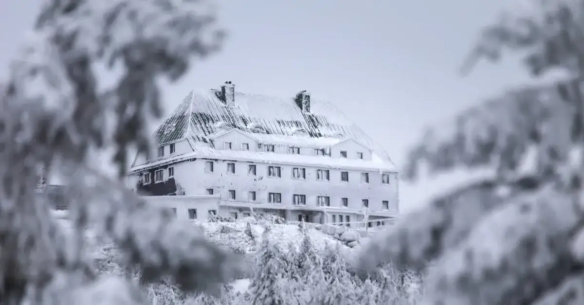 Dlaczego warto zatrzymać się w schronisku Kamieńczyk? Odkryjmy!