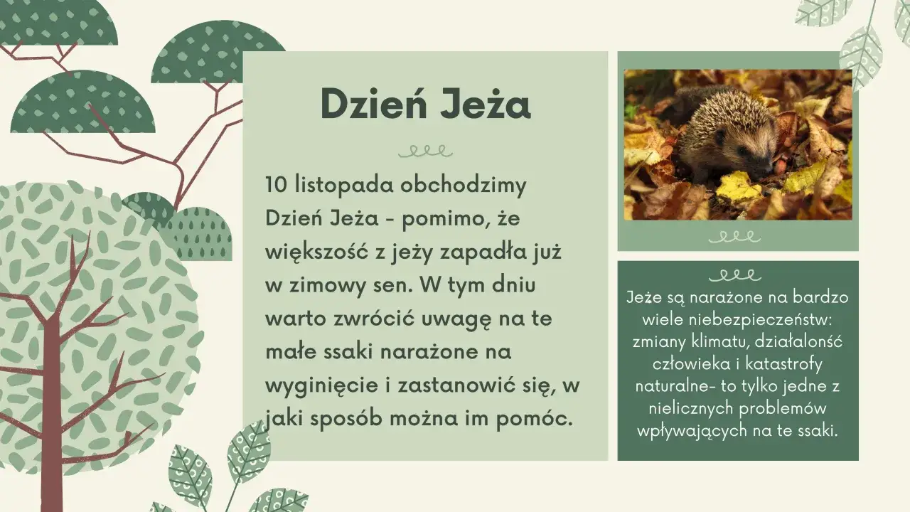 Tekst piosenki dokąd tupta nocą jeż - ulubiona melodia wszystkich dzieci