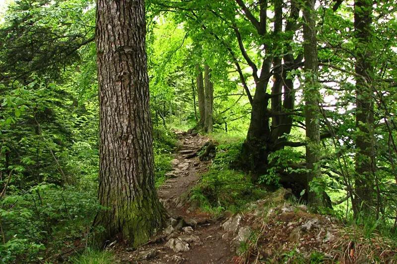 Sokola Perć - trudny szlak z niesamowitymi widokami i przygodą